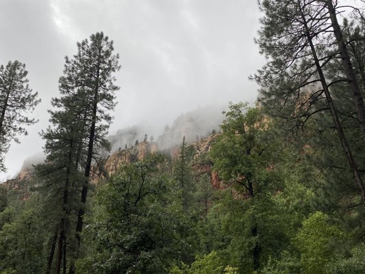Pine Flat Campground by null