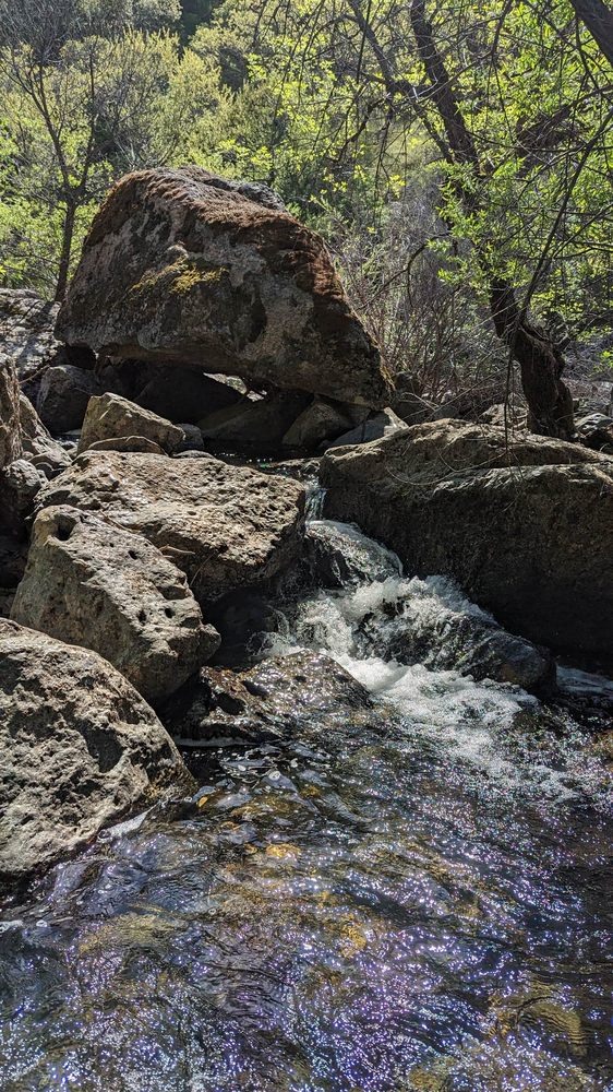 DUTCH CREEK TRAIL Updated June 2024 6061 Bayne Rd, Placerville