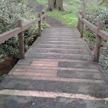 Cathedral State Park - Parks Near Me - Aurora, West Virginia