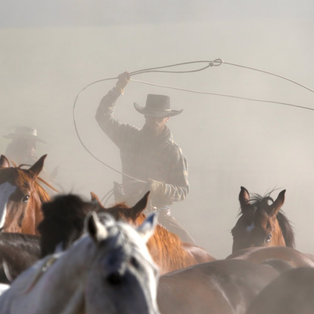Paws Up Ranch - Gathering the horses at dawn - Resorts Near Me - Greenough, Montana