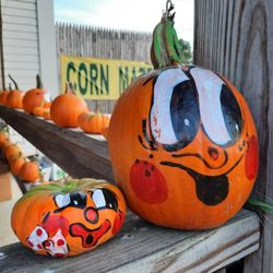 Applecrest Farm Orchards - Here's looking at you, kid!
