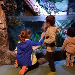 SEA LIFE Charlotte-Concord Aquarium