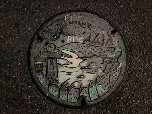 Sun Moon Lake by null