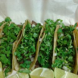 Cindy's Place - Tacos on home-made flour tortillas.