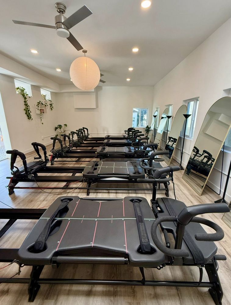 Haus Of Wellness Logo