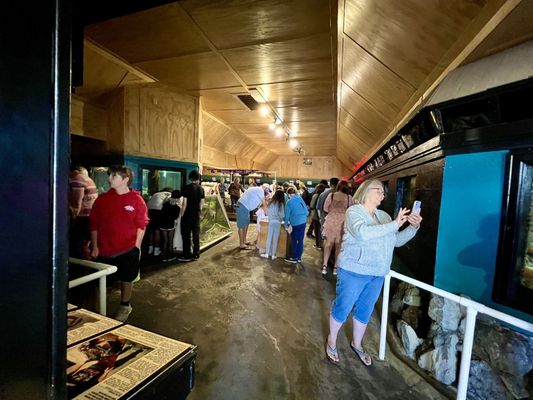 Seaside Aquarium by null
