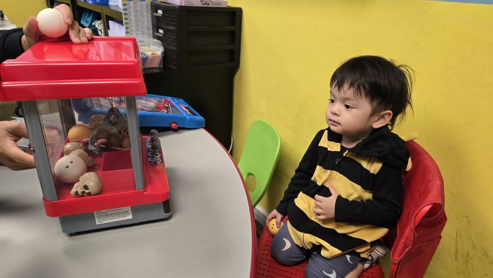 Best Brains - San Jose Berryessa - reading tutor in San Jose, CA