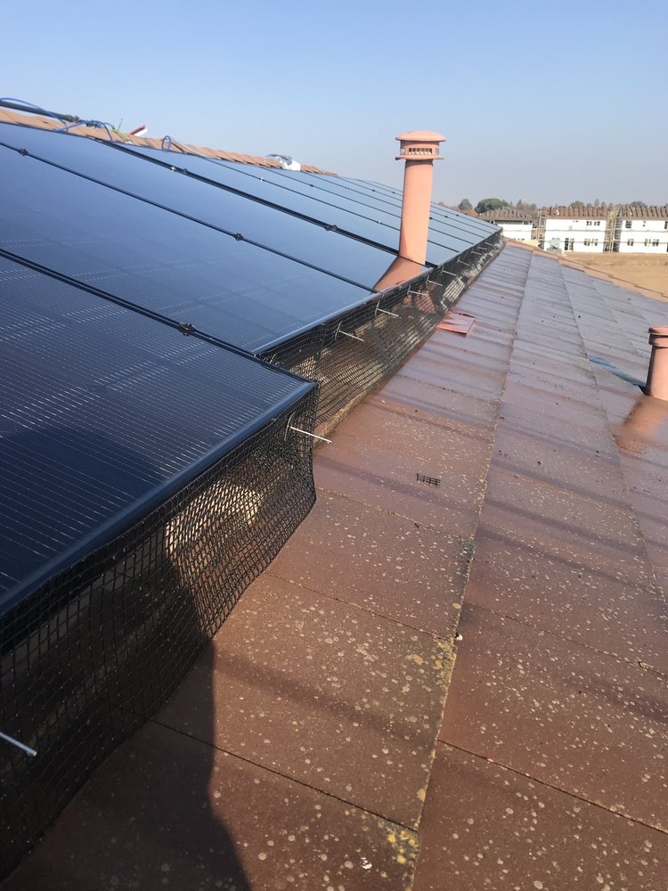 Slide of Top Elevation Roof Cleaning And Repair