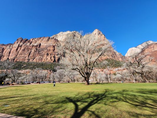 Zion National Park Lodge by null
