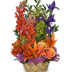 Flower Basket
