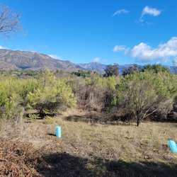 Ojai Valley Land Conservancy - Replanting the preserve