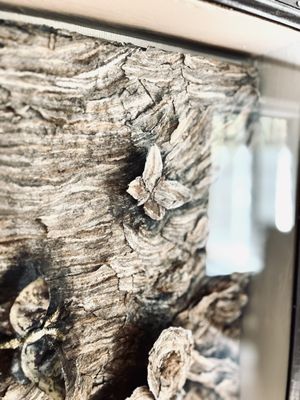 Nature Center at Greenburgh by null