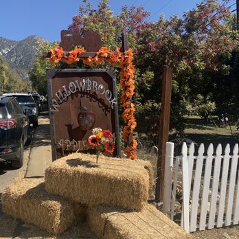 Willowbrook Apple Farm - Pick Your Own Farms Near Me - Oak Glen, California Willowbrook Apple Farm - Pick Your Own Farms Near Me - Oak Glen, California