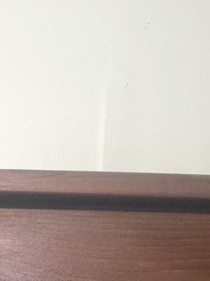 Woodchips Construction