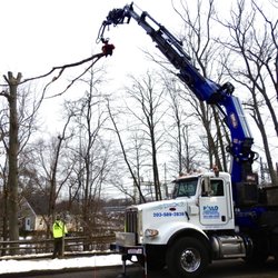 Paulo Landscaping & Tree Removal