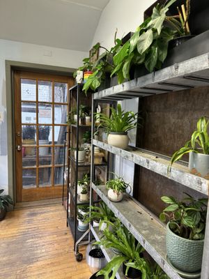 City Planter by null