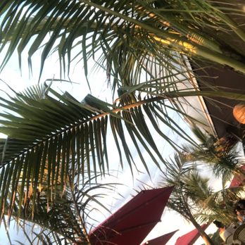 Zona De Cuba - The palms make you forget you're in NY! - Cuban Near Me - Bronx, New York Zona De Cuba - The palms make you forget you're in NY! - Cuban Near Me - Bronx, New York