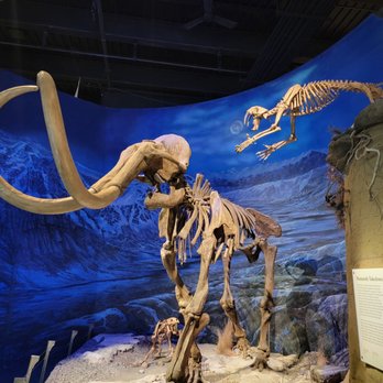 Royal Tyrrell Museum - Museums Near Me - Drumheller, Alberta Royal Tyrrell Museum - Museums Near Me - Drumheller, Alberta