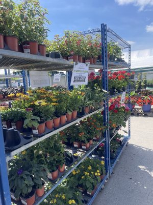 19th Avenue Farmer's Market by null