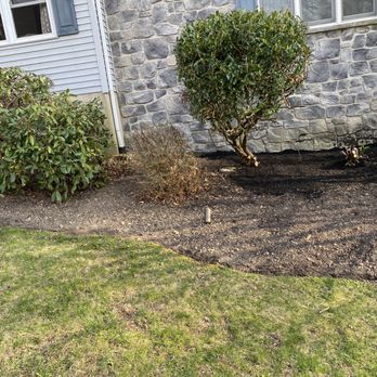 RJS Landscaping - Clean up and mulch - Tree Services Near Me RJS Landscaping - Clean up and mulch - Tree Services Near Me