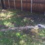 Photo of J Mendoza Landscaping