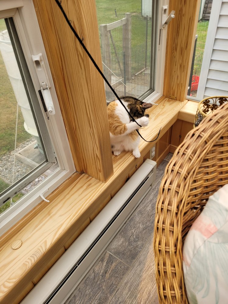 Green Witch Gardening & Pet Care - pet boarding facility in Madison, CT