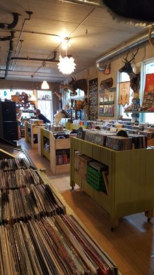 Graveface Records & Curiosities by null