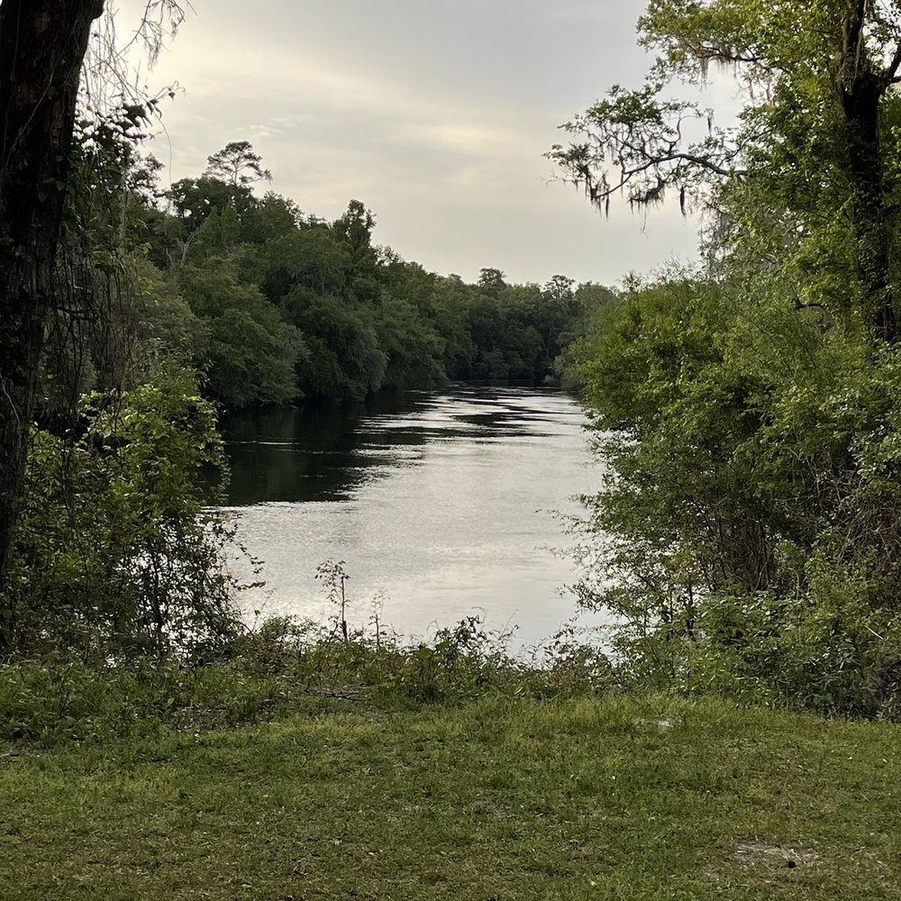 Suwannee River State Park - River bluff - Parks Near Me - Live Oak, Florida Suwannee River State Park - River bluff - Parks Near Me - Live Oak, Florida