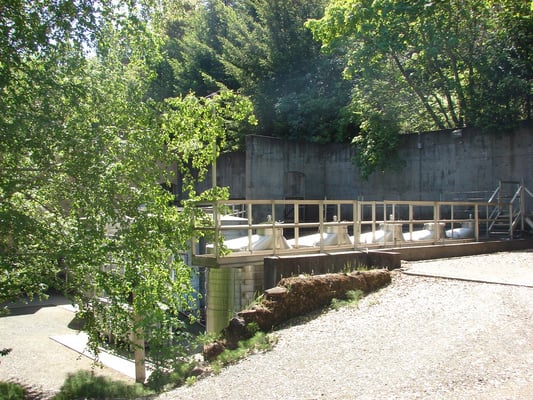 Storybook Mountain Winery by null