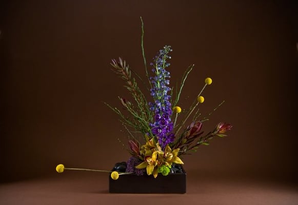 IXIA by null