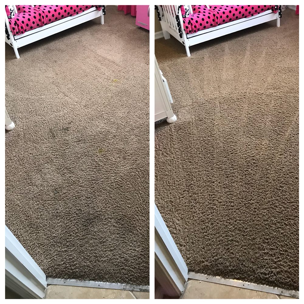 MOLLY BELLA CARPET CLEANING Updated June 2024 40 Photos Soledad