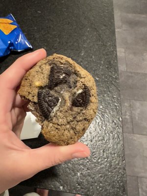 Night Owl PNW by null