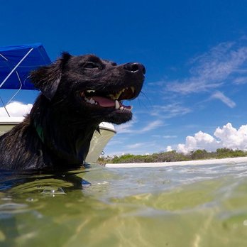 New Wave Eco Charters - Boat Charters Near Me - Captiva, Florida