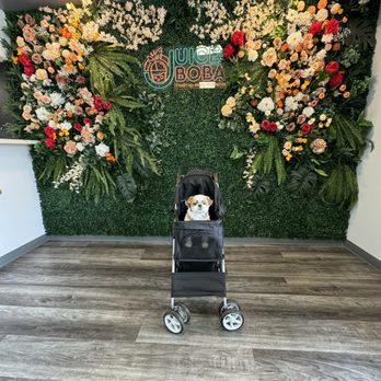 Juice&Boba - inside of cafe - Coffee & Tea Near Me - Thousand Oaks, California