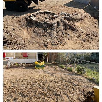 Mikes Grind Time - Stump removal - Tree Services Near Me Mikes Grind Time - Stump removal - Tree Services Near Me