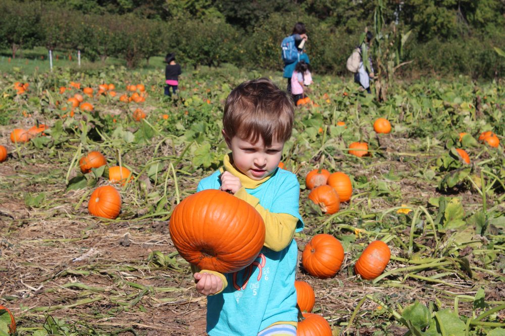 Norwood Park Preschool - childcare center in Chevy Chase, MD