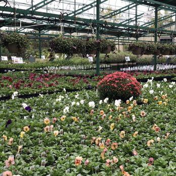 Marcum's Nursery - Nurseries & Gardening Near Me - Oklahoma City, Oklahoma Marcum's Nursery - Nurseries & Gardening Near Me - Oklahoma City, Oklahoma