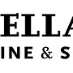 Cellar 53 Wines & Spirits