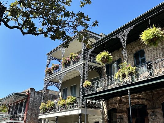 Two Chicks Walking Tours by null