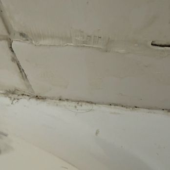 Auld Holland Inn - Dirt mold - Hotels Near Me - Oak Harbor, Washington
