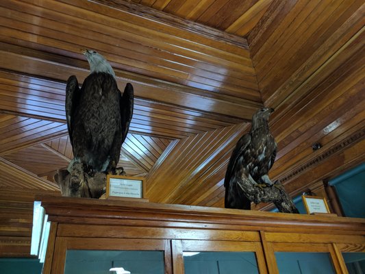 Banff Park Museum National Historic Site by null