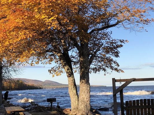 Porcupine Mountains Wilderness State Park by null