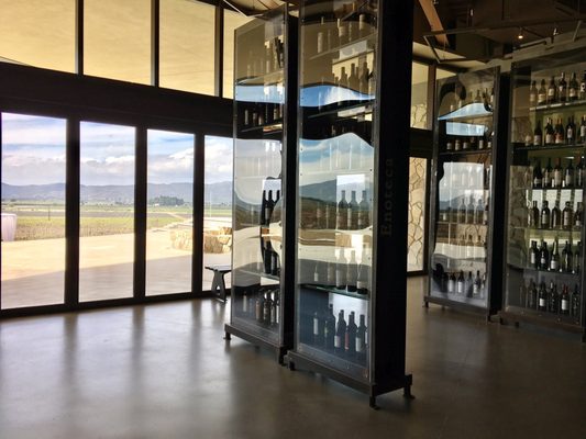 Museum of the Vine and Wine by null
