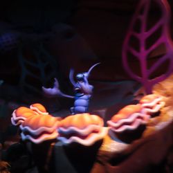 Under the Sea