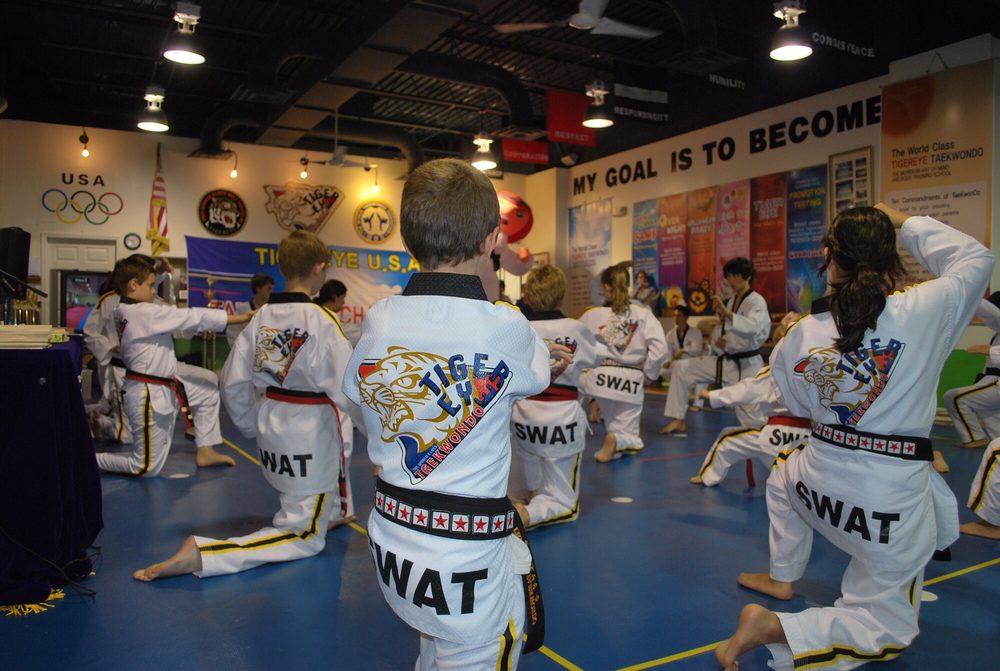 Tigereye Taekwondo Logo