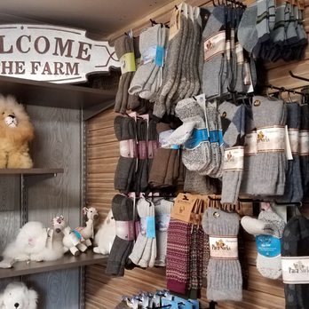 Cascade Rose Alpacas - Inside the store - Petting Zoos Near Me - Carnation, Washington
