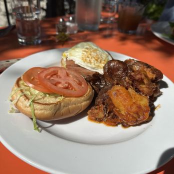 Lily's - Dayton - The SPAM BLT with fried egg, yeah it was delicious - Breakfast & Brunch Near Me - Dayton, Ohio Lily's - Dayton - The SPAM BLT with fried egg, yeah it was delicious - Breakfast & Brunch Near Me - Dayton, Ohio