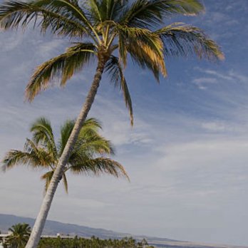 Livingston Realty - Beautiful island of HAWAII - Real Estate Agents Near Me - Captain Cook, Hawaii