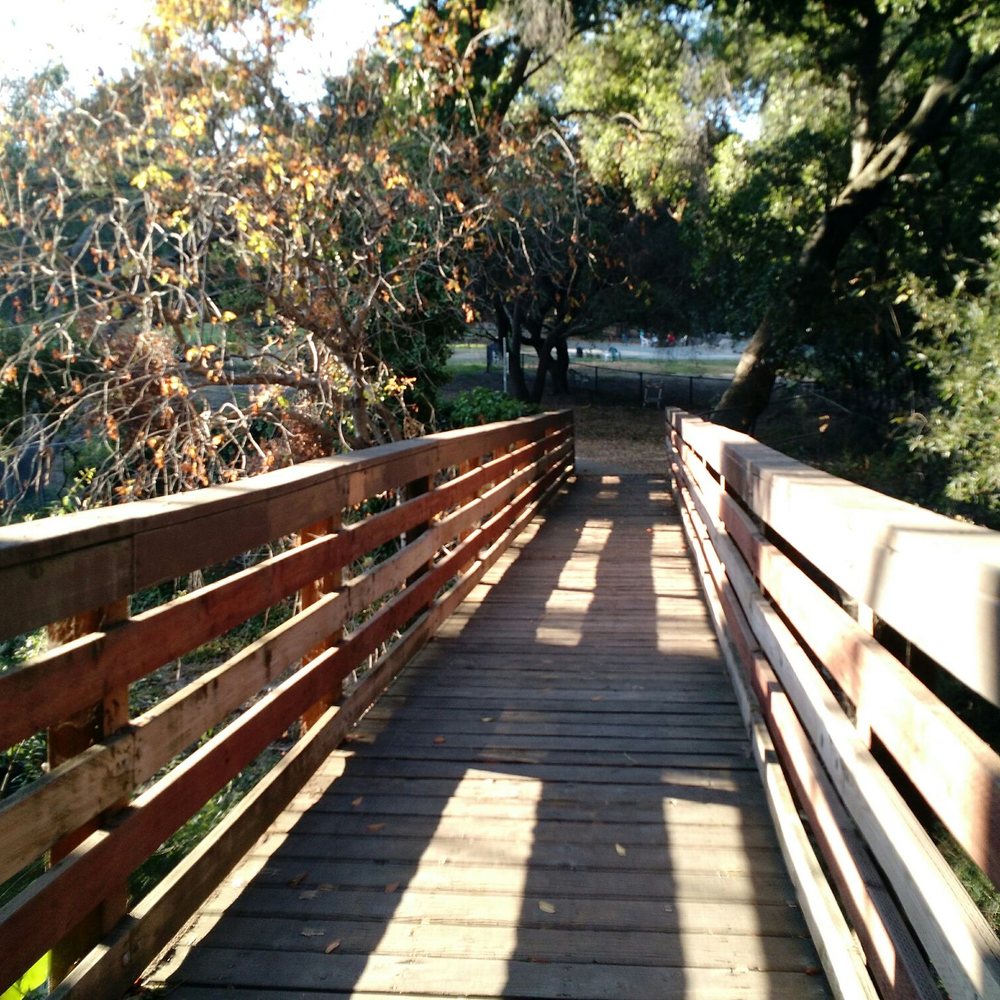 Earl Warren Park - Bridge over Crow Creek. - Parks Near Me - Castro Valley, California Earl Warren Park - Bridge over Crow Creek. - Parks Near Me - Castro Valley, California