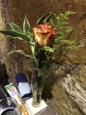 Terra di Vino by null